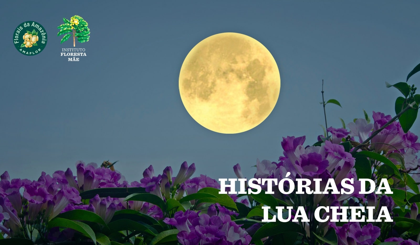 Lua Flora Histórias da Lua Cheia I - Florais da Amazônia